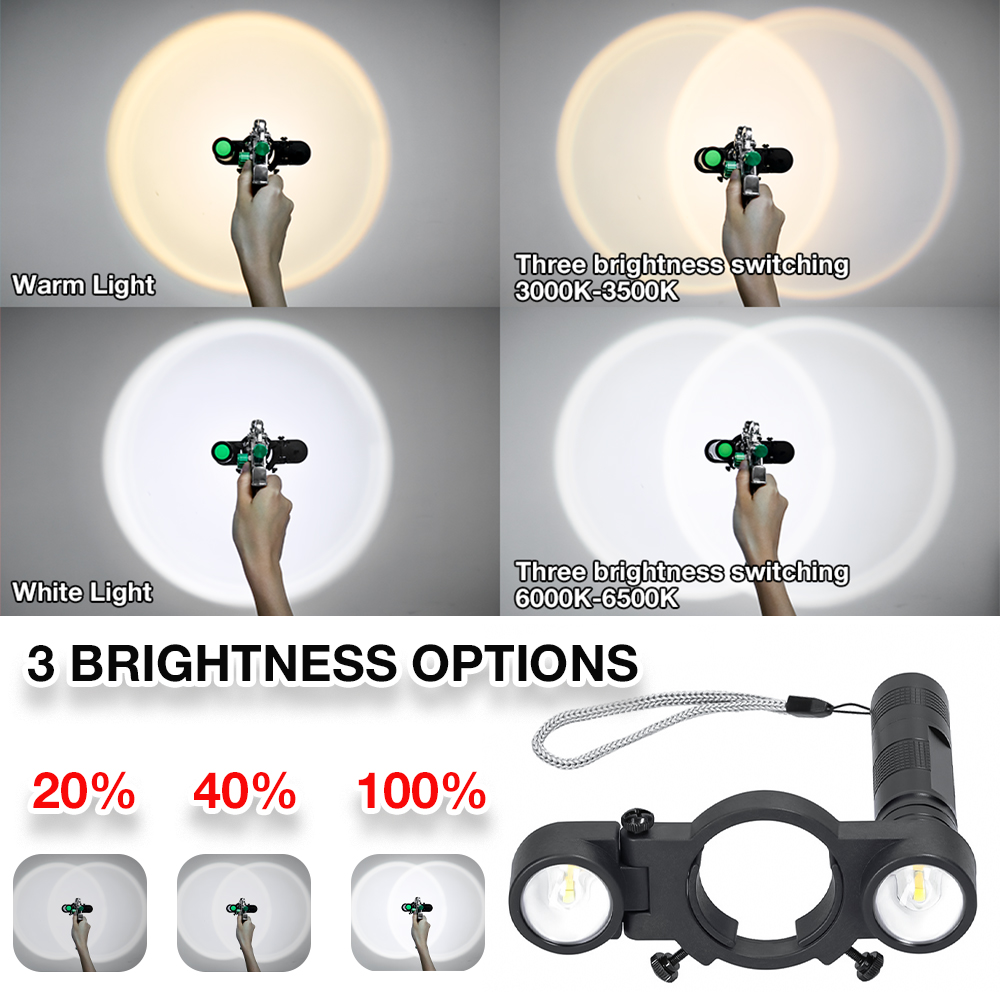 Industrial Grade Spray Gun Lig - Heat Gun Paint Strip review and price