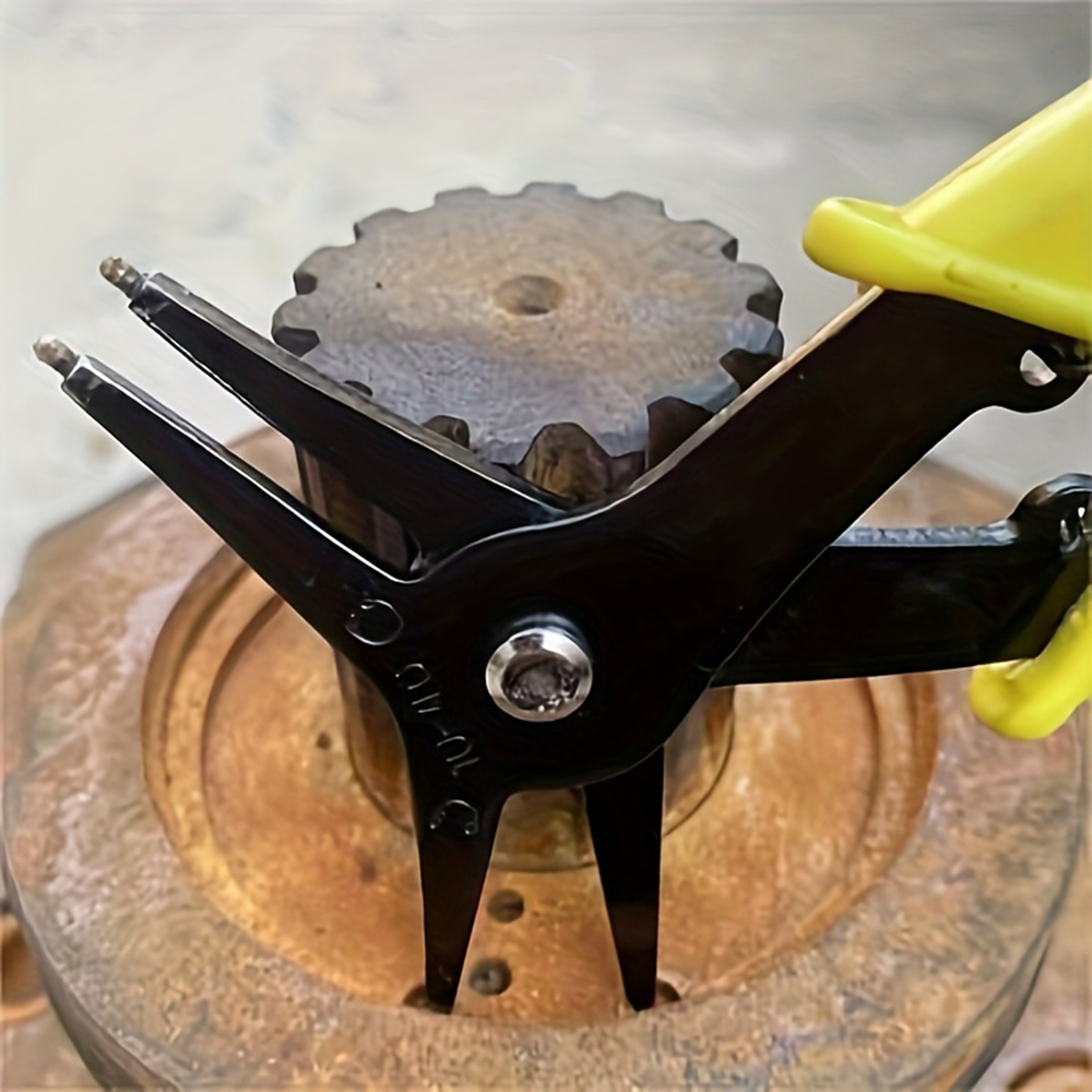 1PC 2-in-1 Spring Compressor P - Spring Compressor Tool review and price